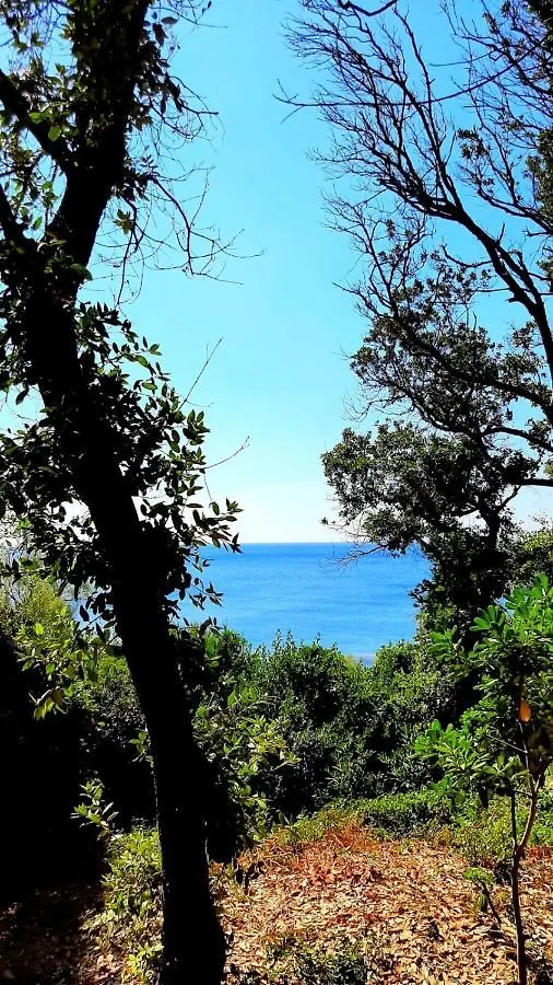 San Giuseppe Casa Per Ferie Hotel Quercianella