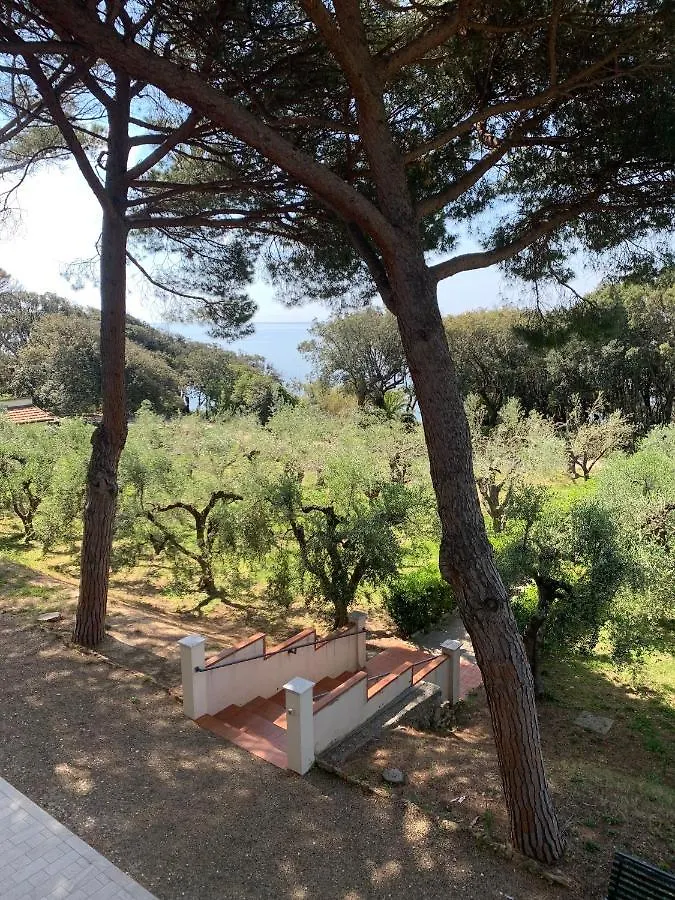 Hotel San Giuseppe Casa Per Ferie Quercianella 0*,